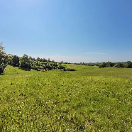 Amazing In With Wifi